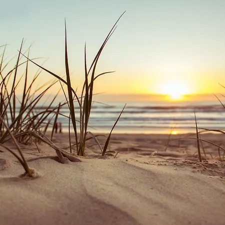 Le Moussaillon De Terre *