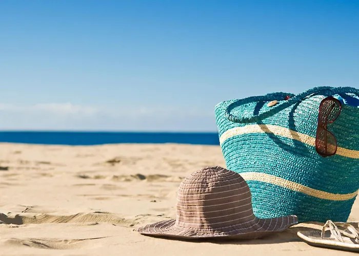 Le Moussaillon De Terre Saint-Hilaire-de-Riez