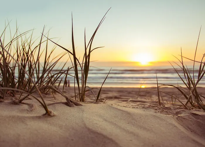 Le Moussaillon De Terre *